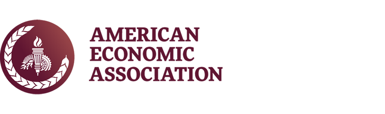 American Economics Association Summer Program